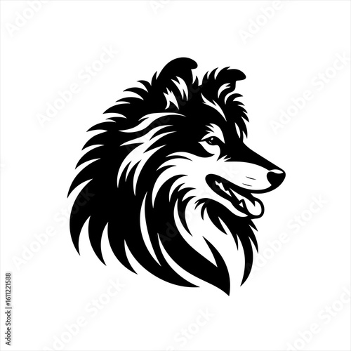 Collie dog head with fluffy fur