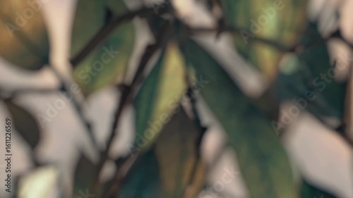 Captivating foliage dances in the gentle breeze as sunlight filters through lush greenery at dusk