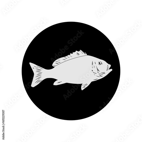 Black and White Tilapia Fish Silhouette Vector