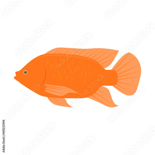 tilapia. animal theme. cultivation. food fish. freshwater fish. vector illustration