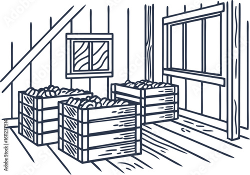 Wooden crates filled with apples in rustic attic storage harvested fruit packed in boxes, hand drawn vintage line art