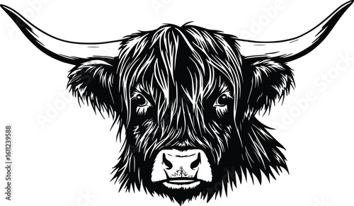 Silhouette of a Highland cow with long horns and shaggy mane in profile