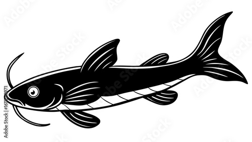Detailed black and white illustration of a catfish