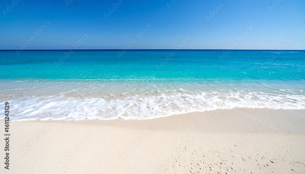 Obraz premium Tranquil seashore scene showcasing turquoise ocean waters and pristine sandy beach meeting under
