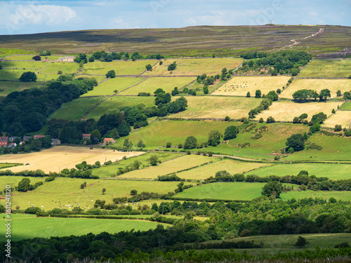 Rolling landscape of the North York Moors on a sunny summer day