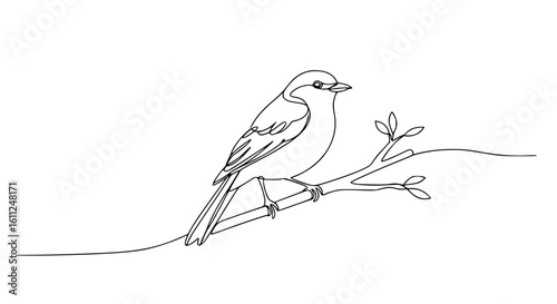 Bird sitting on branch in single line outline vector style  