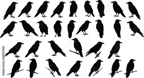 Crow and raven bird silhouettes in various poses, perched and standing, perfect for wildlife, nature, and birdwatching themes