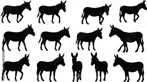 Set of realistic black donkey silhouettes in various poses and angles, perfect for farm, wildlife, and animal design projects