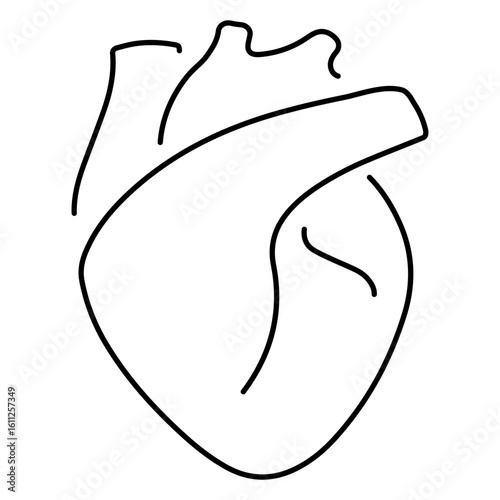 heart organ icon isolated on white background, vector illustration.