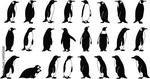 Penguin silhouette vector set, emperor and baby penguins in various poses for wildlife designs, icons, infographics, or educational use