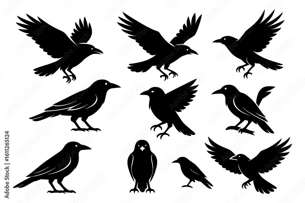 Obraz premium Black raven silhouettes in standing and flying positions, Transparent Background