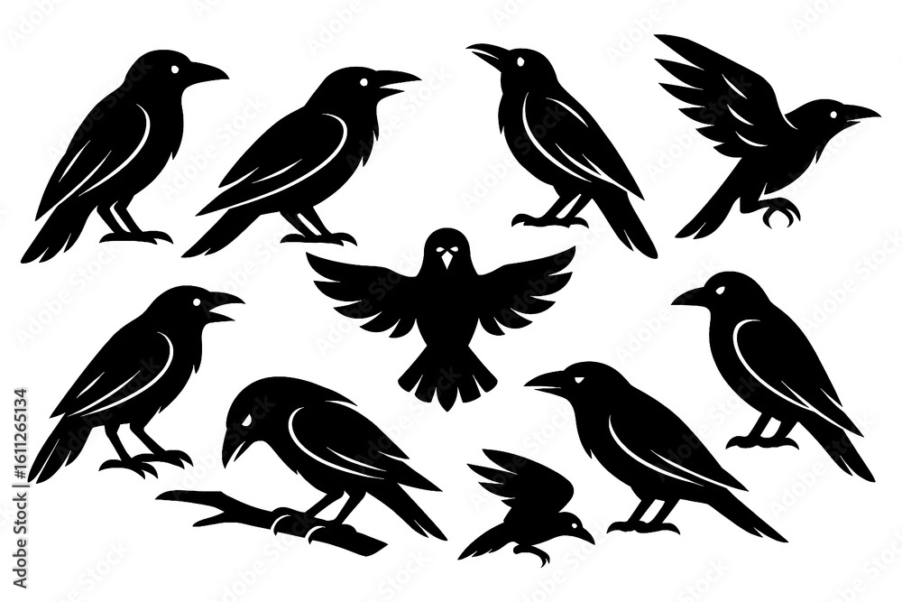 Naklejka premium Black raven silhouettes in standing and flying positions, Transparent Background