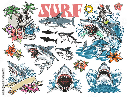 Surf culture inspired by sharks and ocean elements