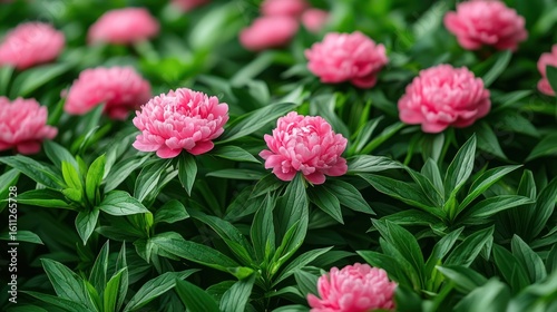 Wallpaper Mural Pink blooms nestled among green foliage Torontodigital.ca