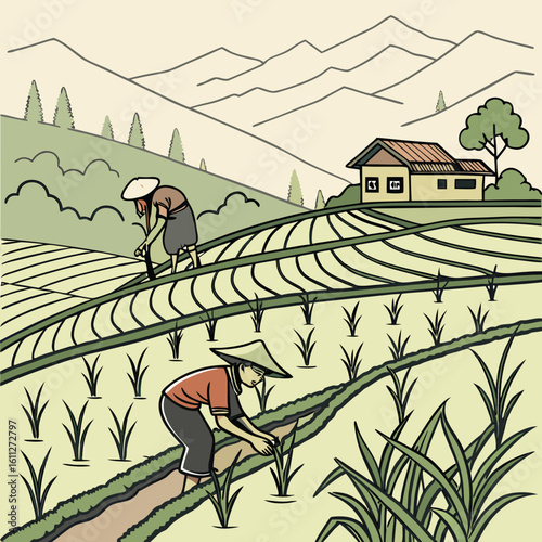 Two Women Working in Rice Paddy Fields on Mountainside