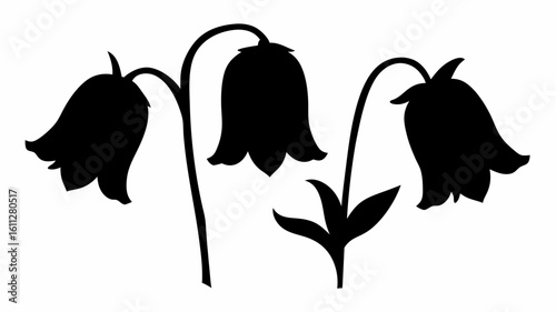 Silhouette depiction of three bell shaped flowers with curved stems and leaves isolated on a white background | editable eps vectors