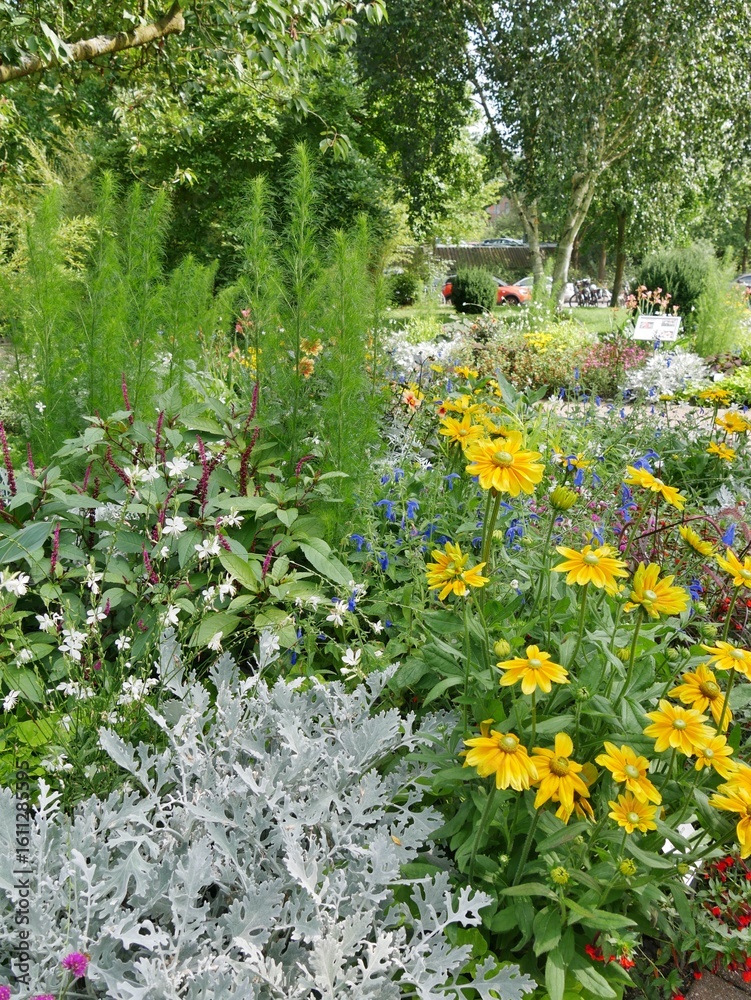 Fototapeta premium Bauerngarten im Botansichen Garten Hamburg