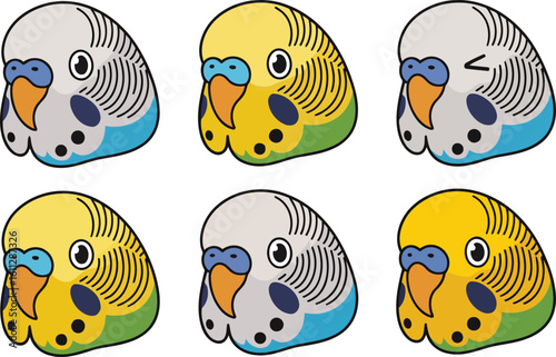 Cute cartoon budgie parakeets with different expressions and colors isolated on white background