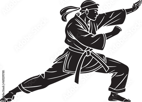 Silhouette of a martial artist performing a powerful karate or kung fu stance