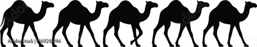 Cad Drawing Flat Vector Illustration, Camel Silhouette Walking Set, Animal Icon Pack, Desert Wildlife Graphic, Pet Travel Symbol
