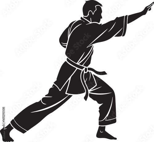 Silhouette of a karate fighter executing a powerful martial arts technique in action