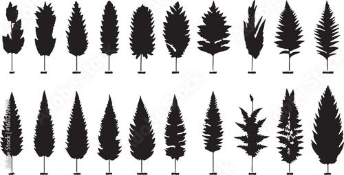 Silhouette Tree Collection: Vector Evergreen Trees for Landscape Design