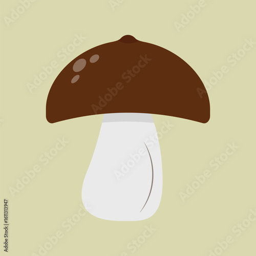 Forest mushroom bolete on a salad background