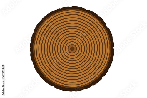 Tree rings vector illustration. Wood texture background. Cross section of a wooden trunk. Closeup on a log slice or timber stump cut. Concentric annual growth rings concept.