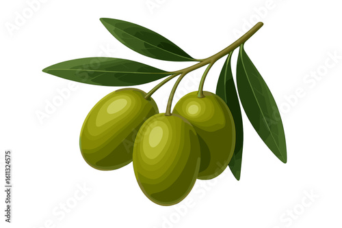 Realistic green olive branch with three olives and leaves vector illustration. Natural organic food ingredient for healthy mediterranean diet. Isolated on a background.