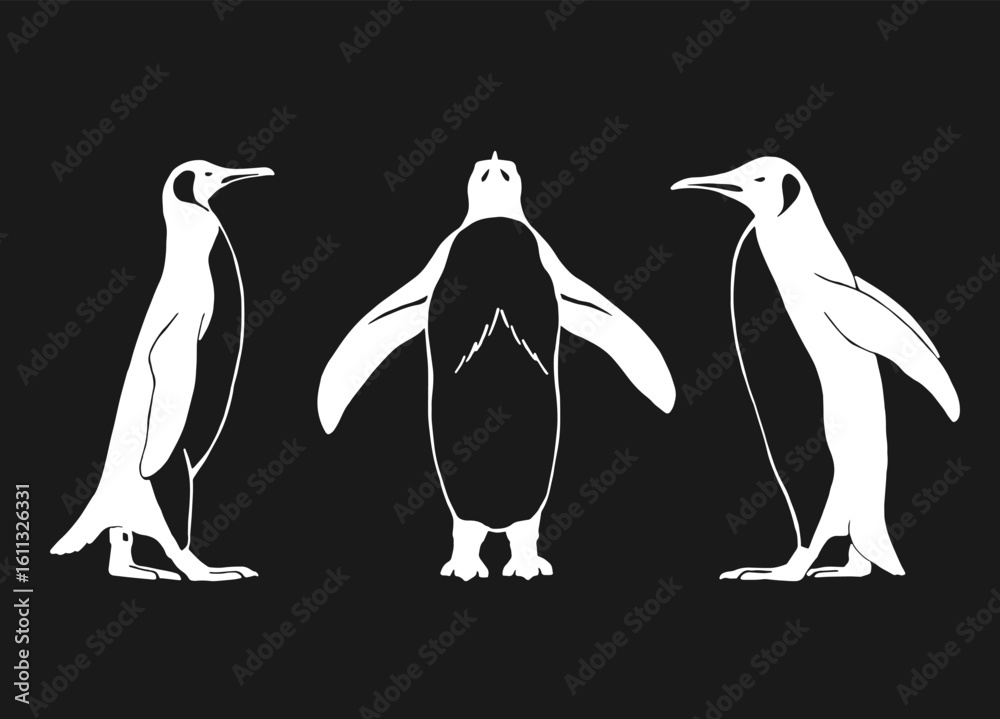 Obraz premium Set of penguin. Hand drawn vector illustration.