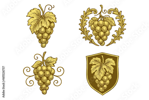 Vintage golden grapes emblem set. Vector illustration for wine logo, winery symbol. Hand drawn luxury fruit icon collection. Ornate shield, baroque frame, classic crest design.