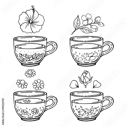 Set glass mugs of tea. Medicinal tea. Hand drawn vector illustration.