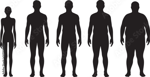 human body shapes silhouettes front view, from underweight to overweight, weight and health concept vector

