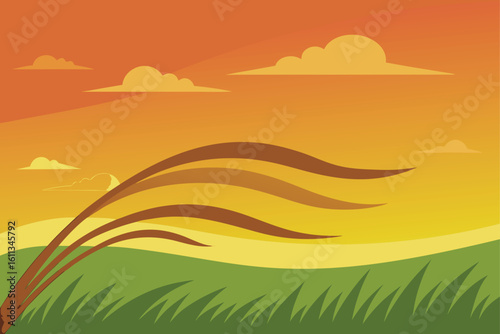 windy grass field at dawn