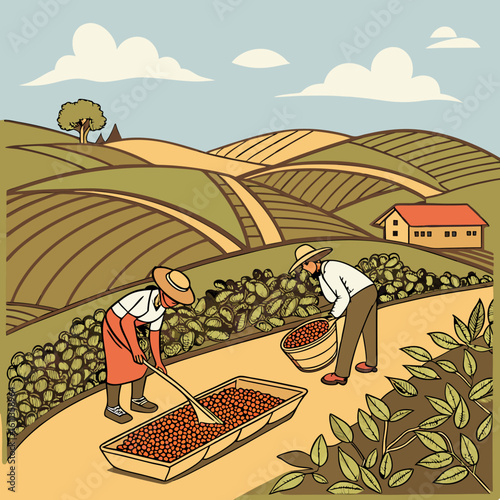 Two Farmers Harvesting Coffee Beans on a Hillside Farm