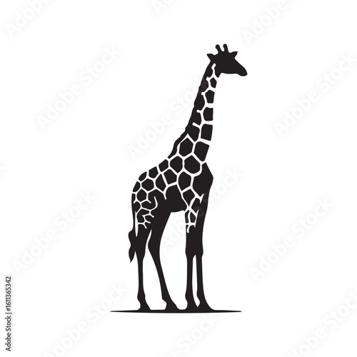Animal giraffe silhouette on white background. Giraffe icon sign vector illustration design