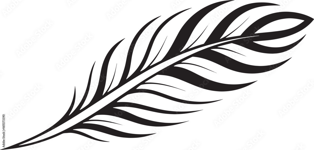 Obraz premium Elegant black feather calligraphy white