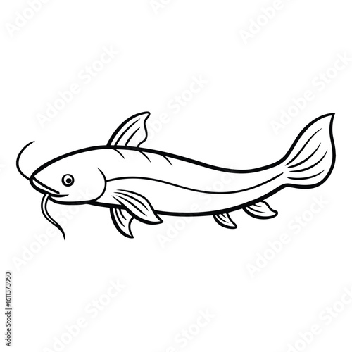 Simple line drawing of a catfish