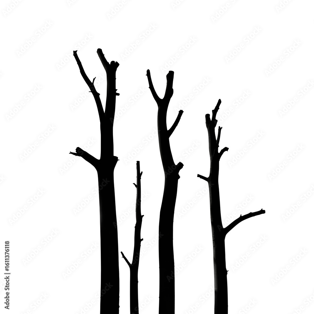 Fototapeta premium Stark minimalist line art: four bare winter trees against a black background; evocative, moody, and atmospheric.