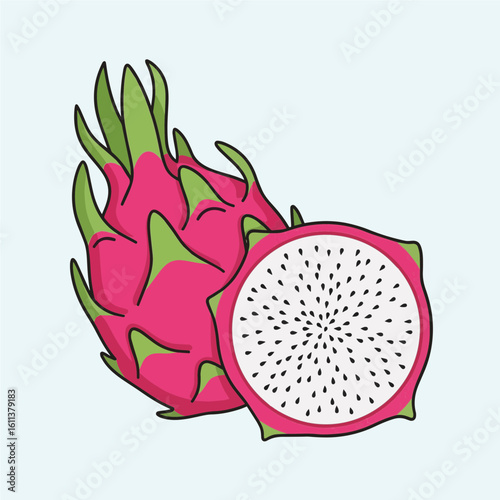 dragon fruit vector illustration