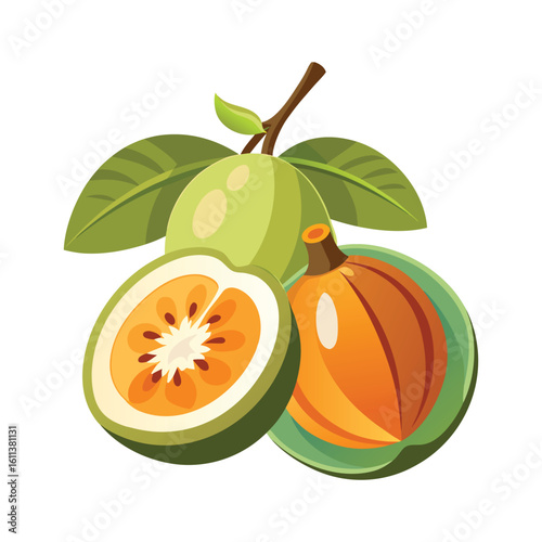 Garcinia Cambogia Fruit with Sectional View on White Background 