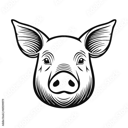 Isolated Pig Face Illustration in Black and White Style, Farm Animal