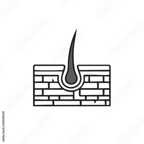 Hair follicle structure icon with epidermis layers vector illustration