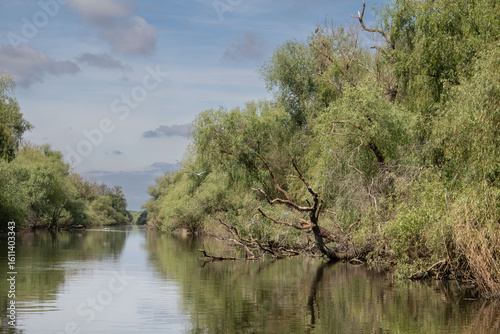 Wasserstraße im rumänischen Donaudelta