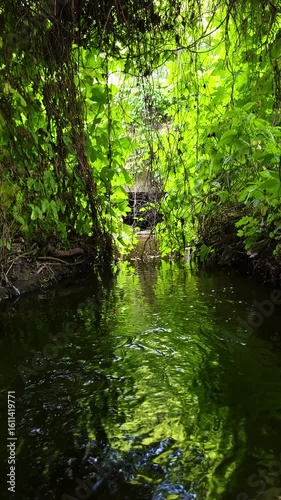 A narrow, dark green stream flows under a canopy of lush green foliage and tangled vines.