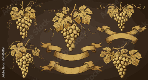Elegant vintage grape bunches with leaves and ribbon banners on dark background