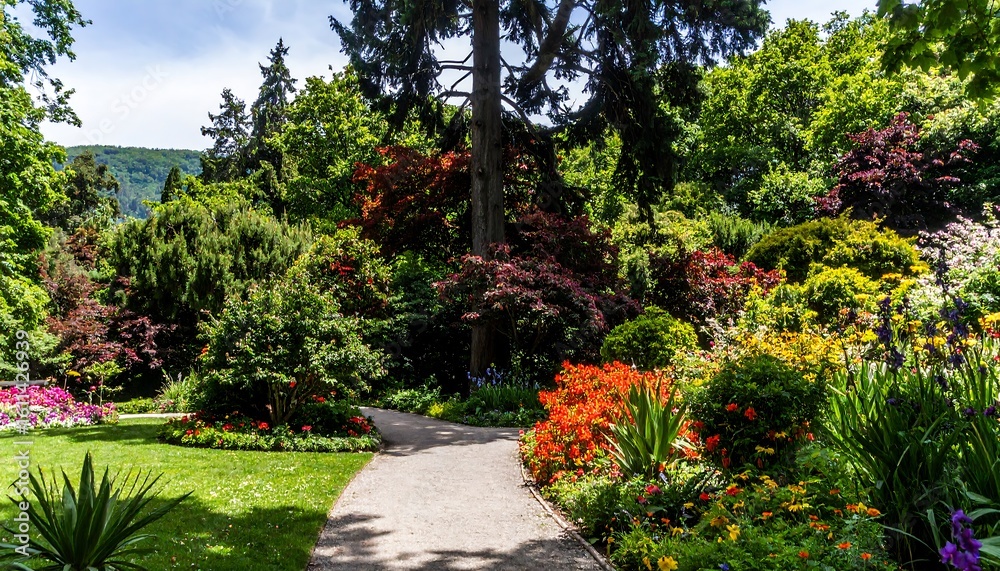 Naklejka premium A sun-drenched garden path (1)