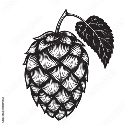 Detailed black and white illustration of a hop cone and leaf for brewing and design projects