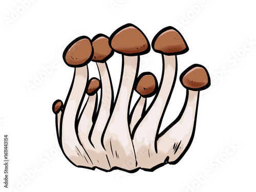 筆 ぶなしめじ キノコ シメジ 秋の味覚