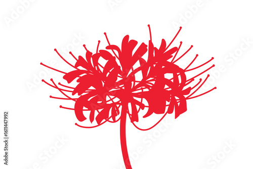 Higanbana Red spider lily